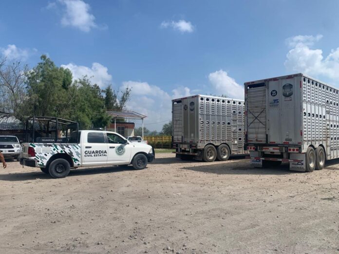 231025 Boletín 15085, GOBIERNO ESTATAL DETECTA Y RETORNA GANADO PROVENIENTE DE TABASCO (1)