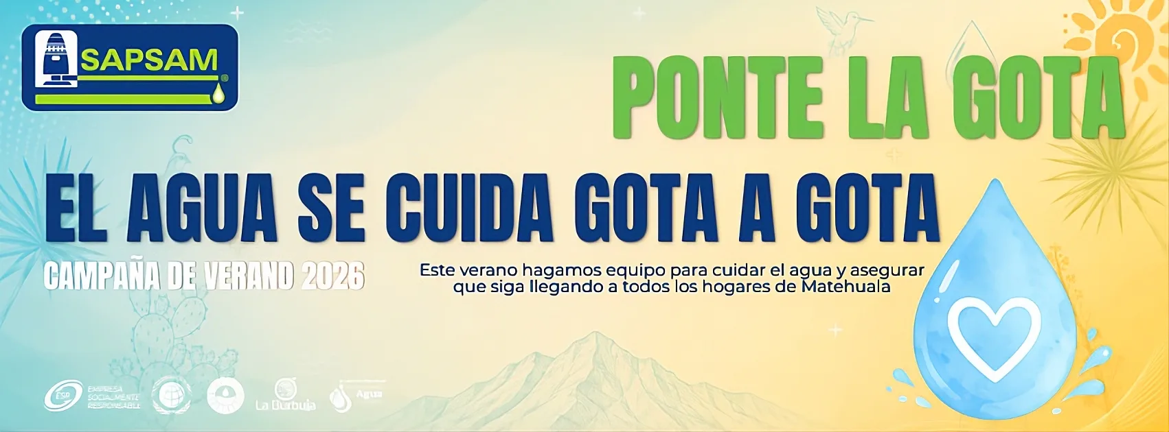 spot_img